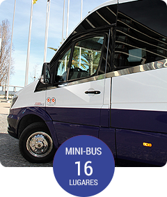 Mini-Bus with 33 Seats