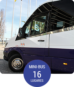 frota-minibus16